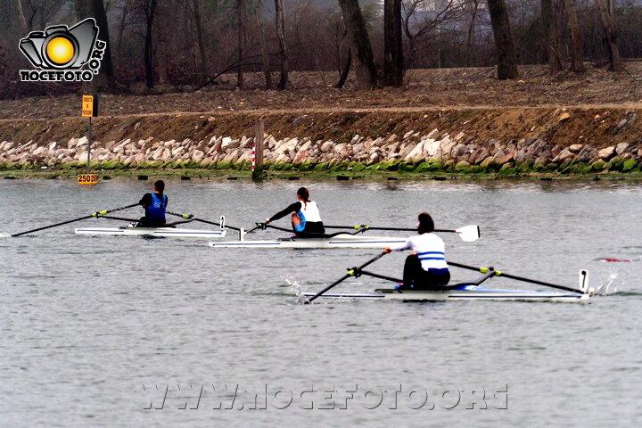 Foto n. 2026-3-20