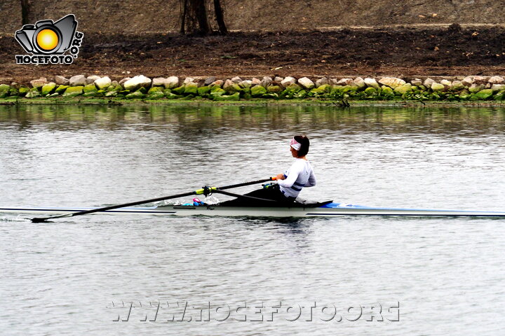 Foto n. 2026-3-23