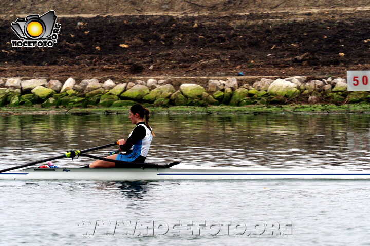 Foto n. 2026-3-26