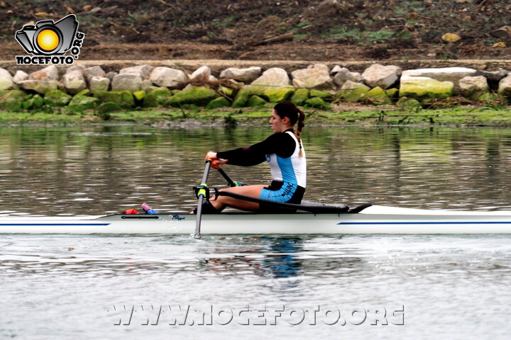 Foto n. 2026-3-28