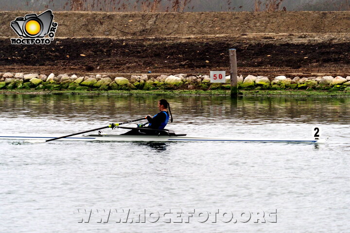 Foto n. 2026-3-29