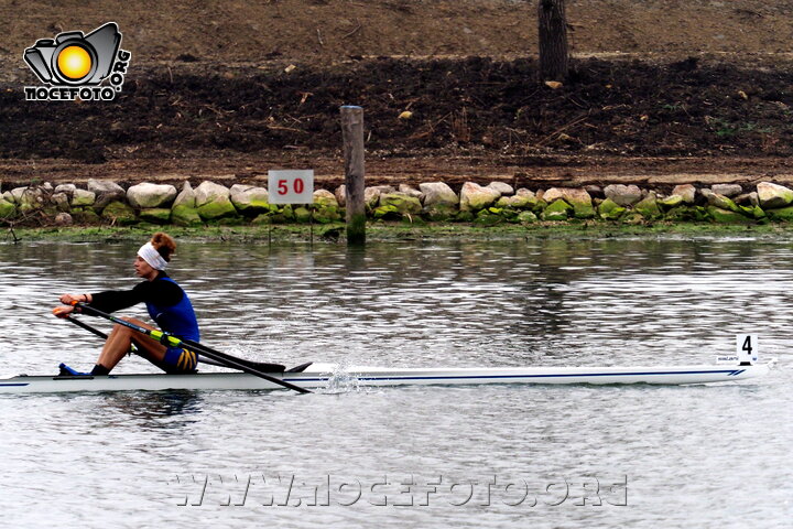 Foto n. 2026-3-42