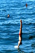 Foto 2026-18-50