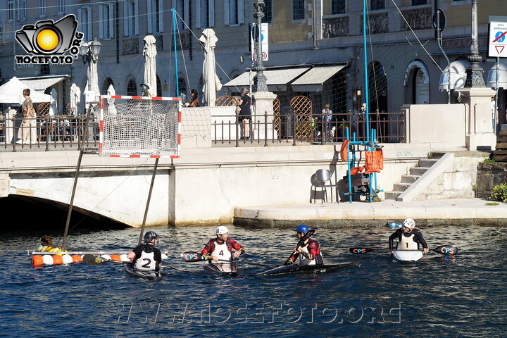 Foto n. 2026-24-7