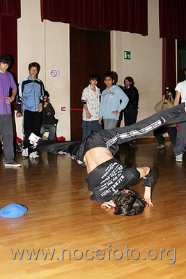 Foto n. 2008-7-36